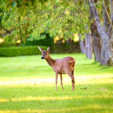 Chateau Du Bu ホテル 4*