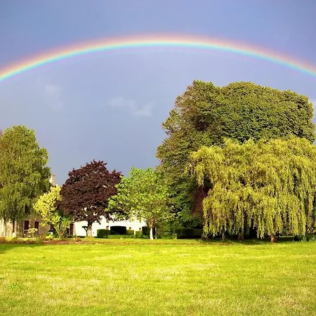 Chateau Du Bu מלון Anctoville