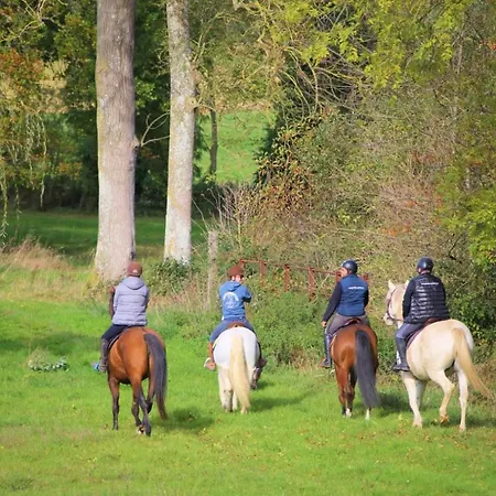 Chateau Du Bu ホテル 4*