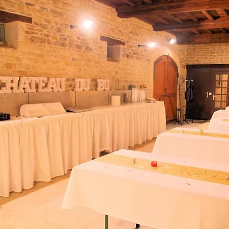 ホテル Chateau Du Bu 4*