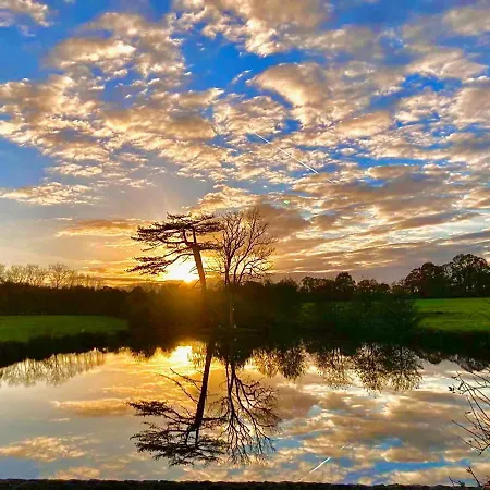 ホテル Chateau Du Bu