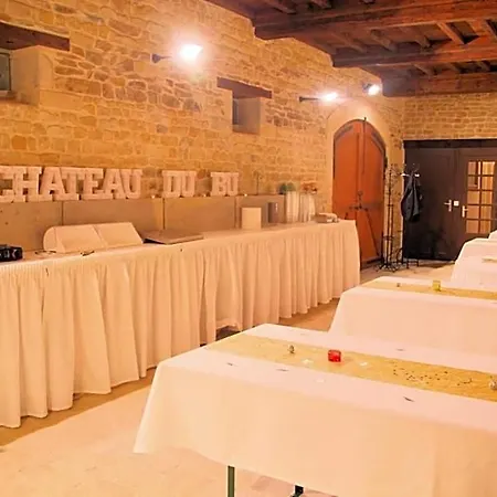 Chateau Du Bu ホテル 4*