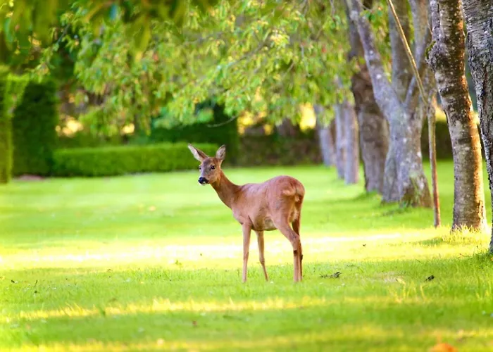 Chateau Du Bu Otel 4*