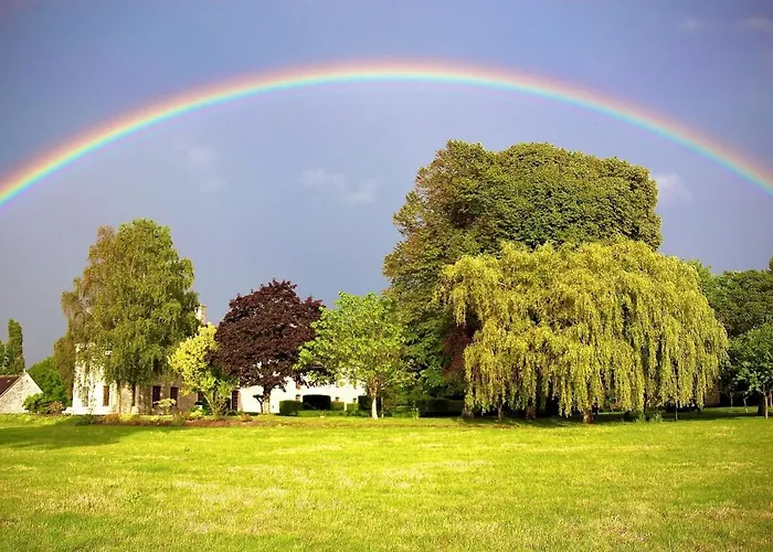 Chateau Du Bu מלון Anctoville