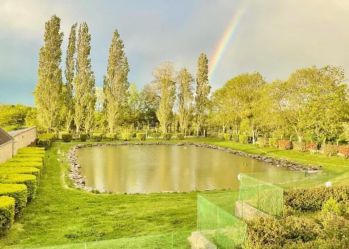 מלון Chateau Du Bu Anctoville